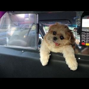 Meet your Posher, Zoe